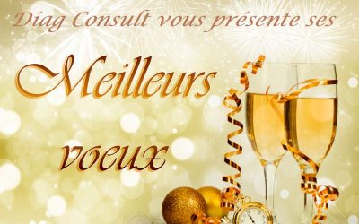 Meilleurs Voeux