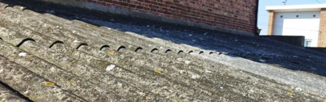 LCoqrrPpwsW_Capture (1)